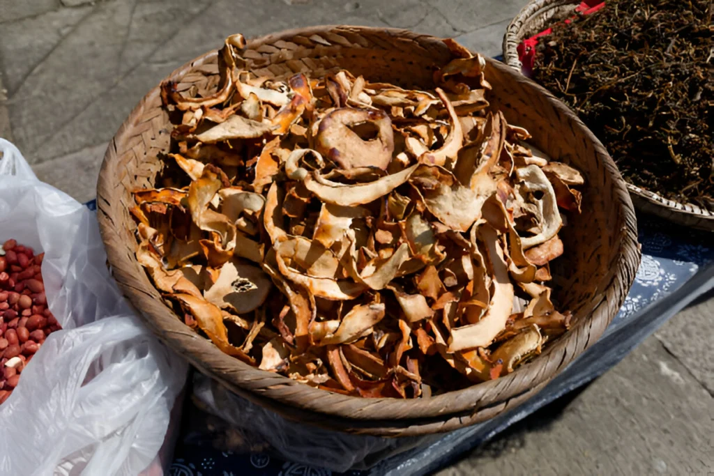 Best Mushroom Supplements for Brain Focus and Cognitive Support