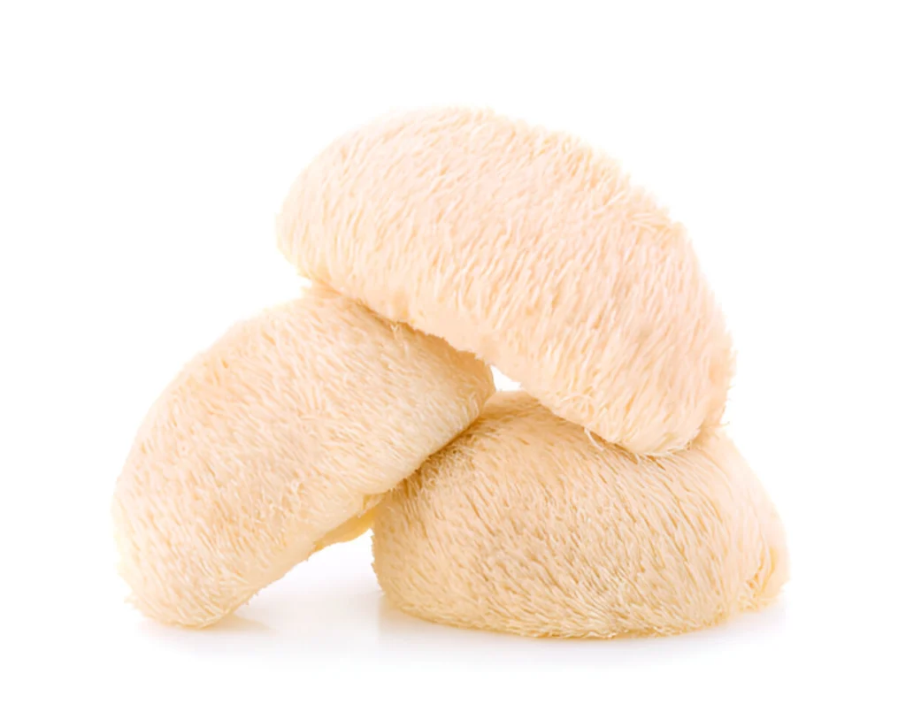 How to Cook Lion’s Mane Mushrooms