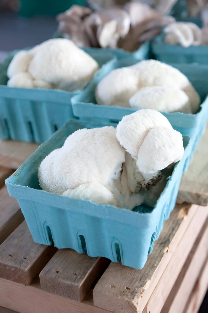 How to Grow Lion’s Mane Mushrooms at Home