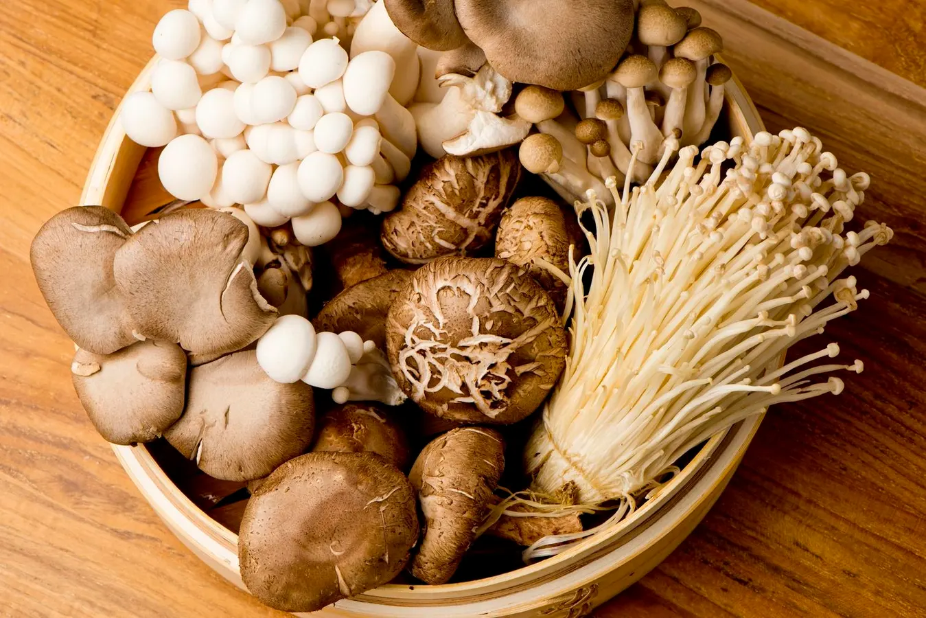 Functional mushrooms arranged in a calm wellness space symbolizing modern wellness education