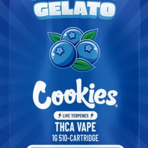 Building Better Wellness Habits with Functional Mushrooms