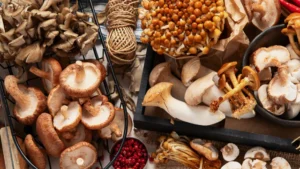 Natural wellness scene highlighting functional mushrooms for balanced lifestyle and mindful energy