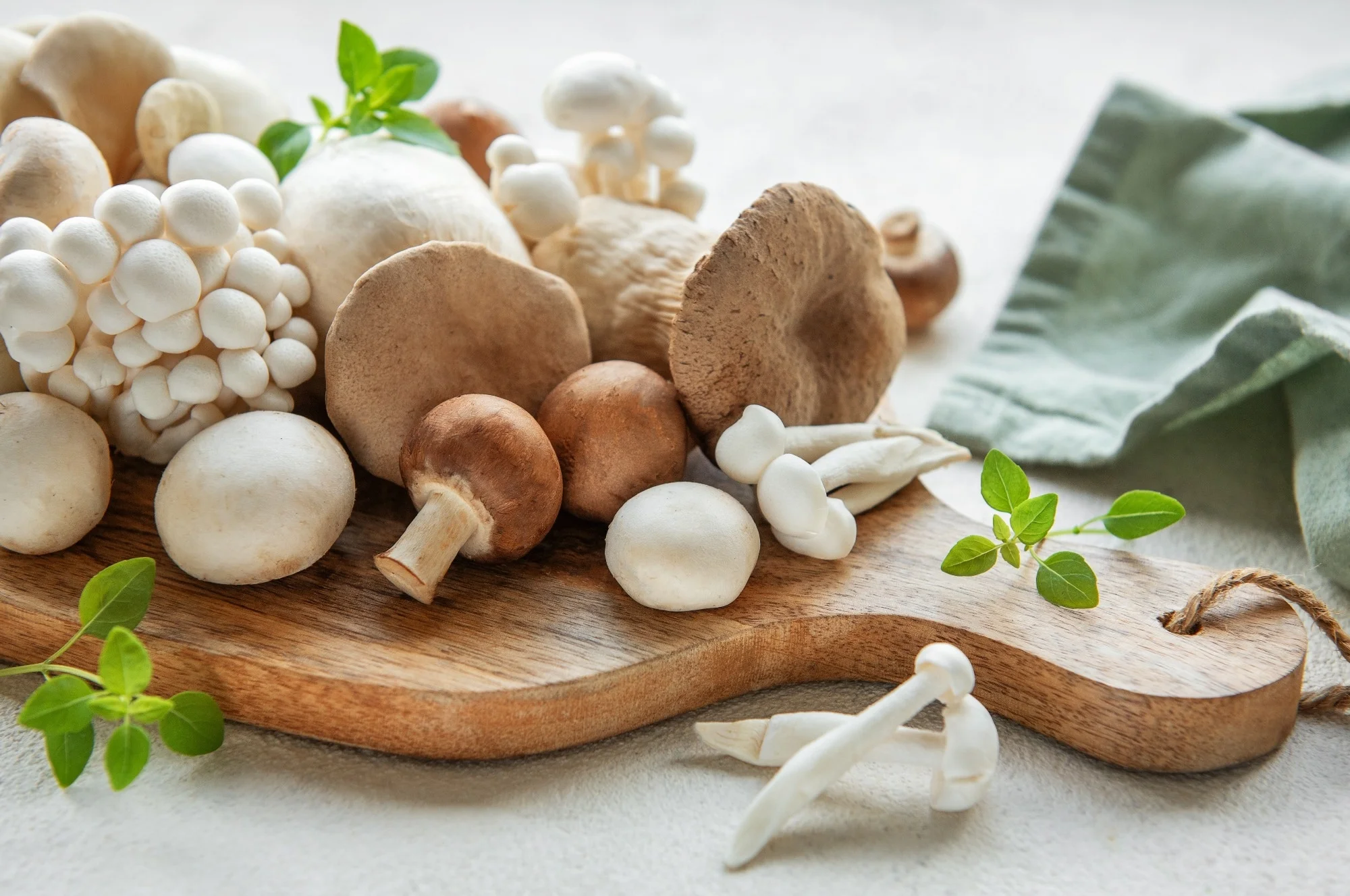 Functional mushrooms displayed with tropical herbs and natural Jamaican elements representing conscious island wellness
