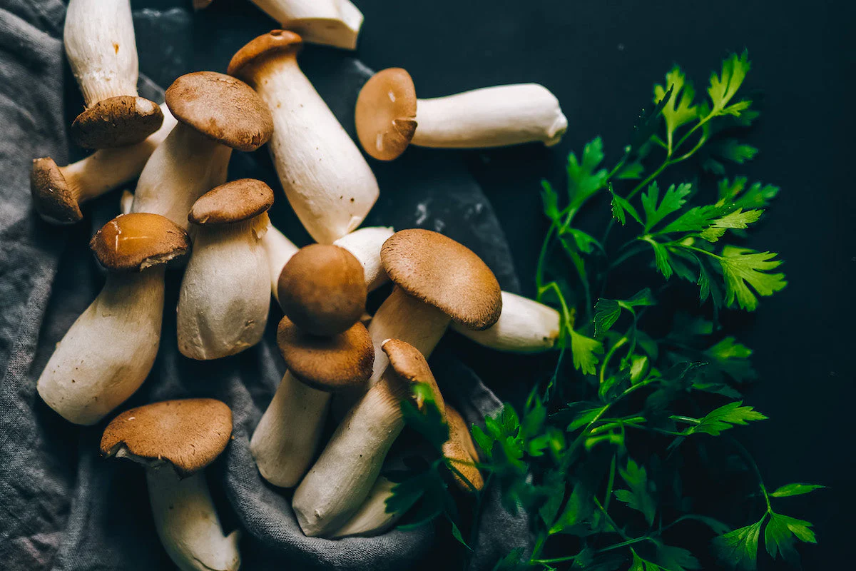 Functional mushrooms displayed with Jamaican herbal elements representing conscious wellness culture
